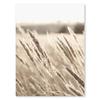 Lake Beach Landscape Canvas Painting Wall Art Bohemia Beige Grass Flower Reed Poster and Print Picture Home Living Room Decor