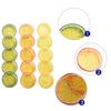 Assorted Color Artificial Lemon Slices Plastic Fake Lemon Slices