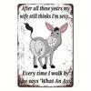 1pc Donkey Sarcastic Vintage Metal Sign Rustic Wall Decor, Humorous Plaque, Hanging Art, Distressed Finish, Ready To Hang