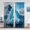 Антарктический айсберг Природа Пейзаж Прозрачная занавеска для гостиной Спальни Вуаль Драпировка Кухонное окно Тюлевые занавески Домашний декор