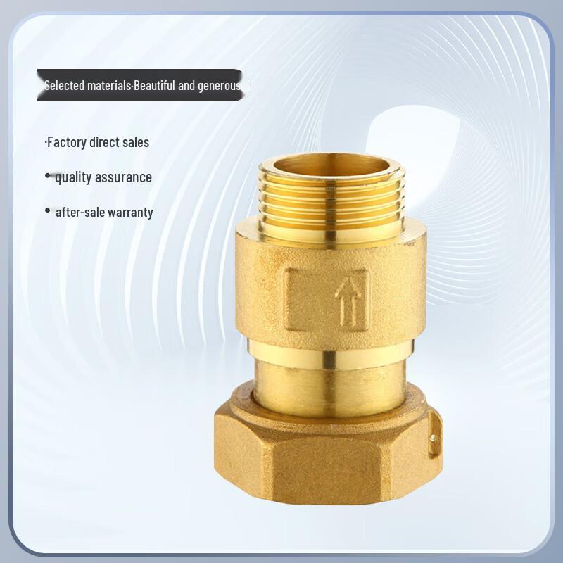 Water Meter Check Valve