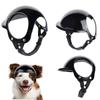 Красивый кот Собачья мода Защитный шлем для питомца Шлем для питомца Шапка для езды для собаки