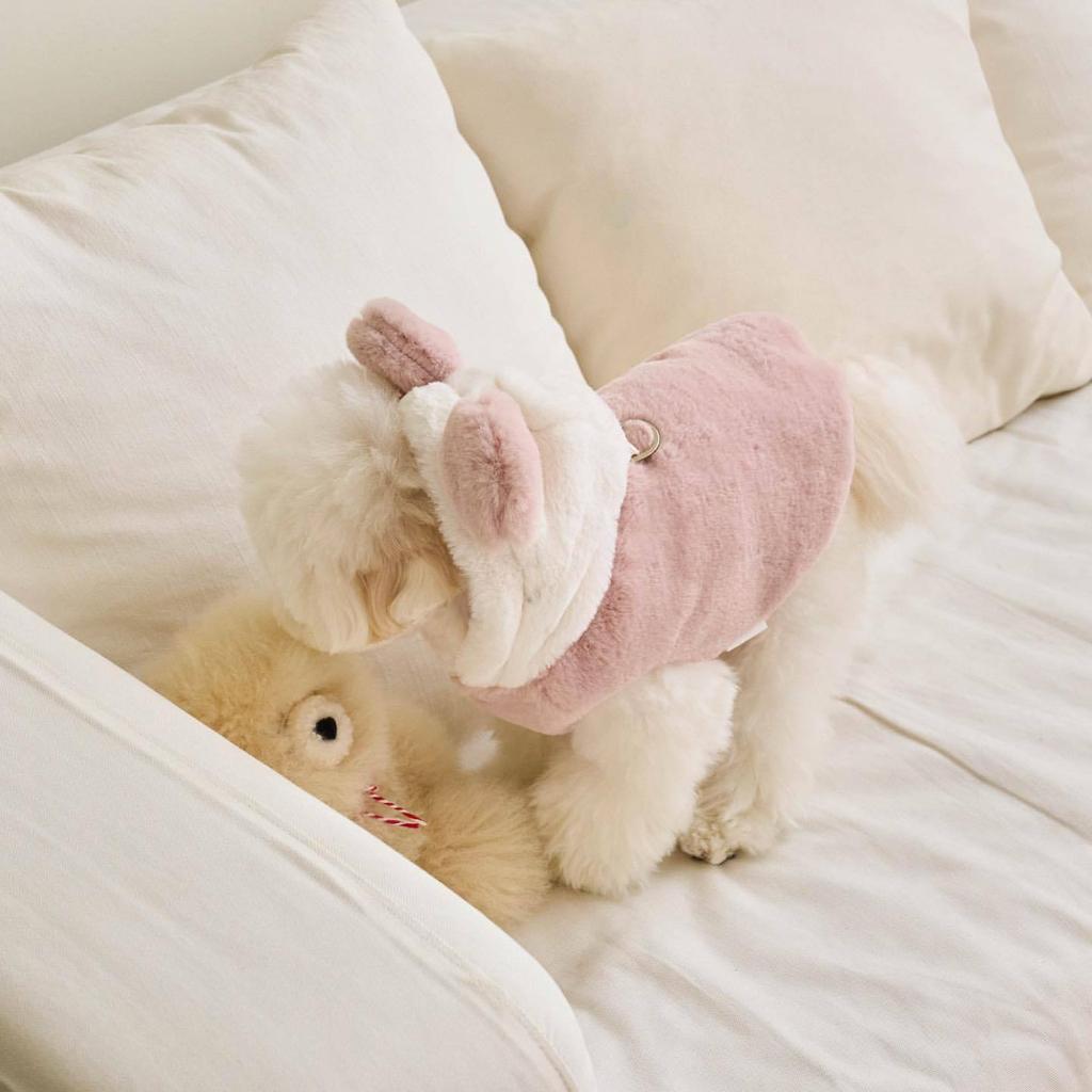 Autumn and winter thickened dog cat warm jacket bear transformation can be towed Bigbear teddy Pomeranian pet clothes