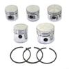 Replacement Piston Wear Resistance 42/47/48/51/65mm