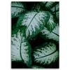 Canvas print, Tropical leaves nature