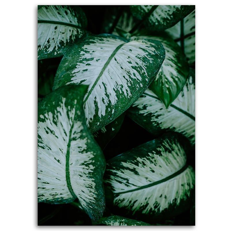 Canvas print, Tropical leaves nature