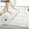 Winter Thickened Warm Lamb Wool Home Mattress Solid Color Tatami Plush Cushion Bedroom Dormitory Hotel Single and Double People Padded Quilts