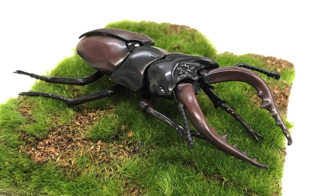 Free Research Series Living Creatures Stag Beetle Plastic Model No.22