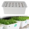 24 Holes, Indoor Hydroponic Grow Set, Plant Site for Balcony