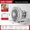 High-Pressure Vortex Air Pump and Industrial Aerator for Fish Ponds