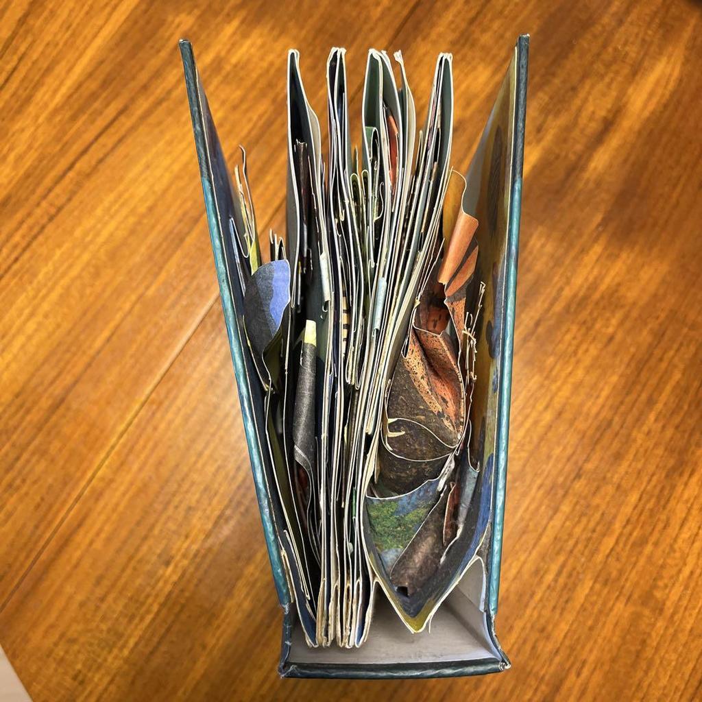 [Б/У] Энциклопедия доисторических акул Роберта Сабуды