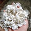 Толстые латексные напальчники: Пылезащитный, Свернутый край, Одноразовая защита