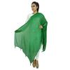 Indian Dupatta Long Stole Chiffon Blend Chunni Neck Wrap Tassel Scarf Throw