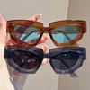 Fashion Cat Eye Sunglasses with Irregular Thick Frame, Perfect for Outdoor Street Photography, Ordinary Decorative Eyeglasses