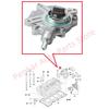 11667635656 Vacuum Pump For BMW E81 E87 E88 E46 E90 E91 E92 316 318 320 E60 520 X1 E84 N46 11668482284 11667542498 11667534236