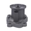 Water Pump For AEOLUS A60/ DACIA DUSTER/ Nissan JUKE Qashqai Livina Tiida SENTRA SYLPHY MICRA NV200 NOTE Engine Cooling Systems