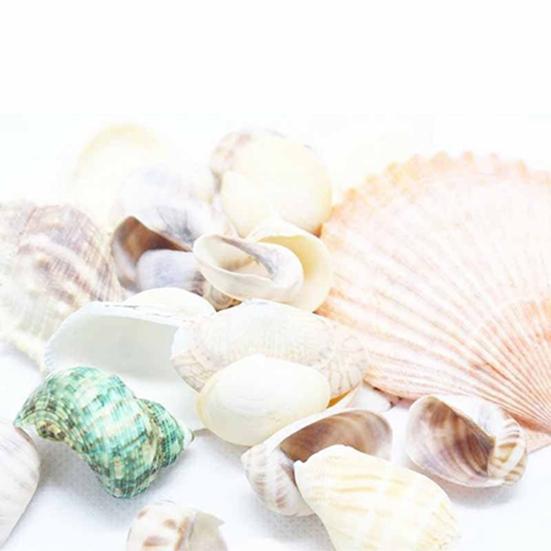 100 г смешанные морские ракушки, ракушки, ракушки для домашнего аквариума, морской декор