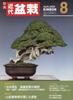 KINDAI BONSAI Август 2026 Японский культурный журнал KINBON из Японии