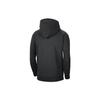 Nike Sweatshirts Men's Black Hooded Moderate Regular DB2309-010