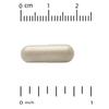 Now Foods Probiotic-10 25 Billion CFU Veggie Capsules, 100 Counts
