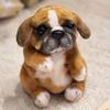 Stuffed Animals Stuffed Poodle Pug Cute Fluffy Plush Dog Doll Puppy Plush Toys  Kids Toy
