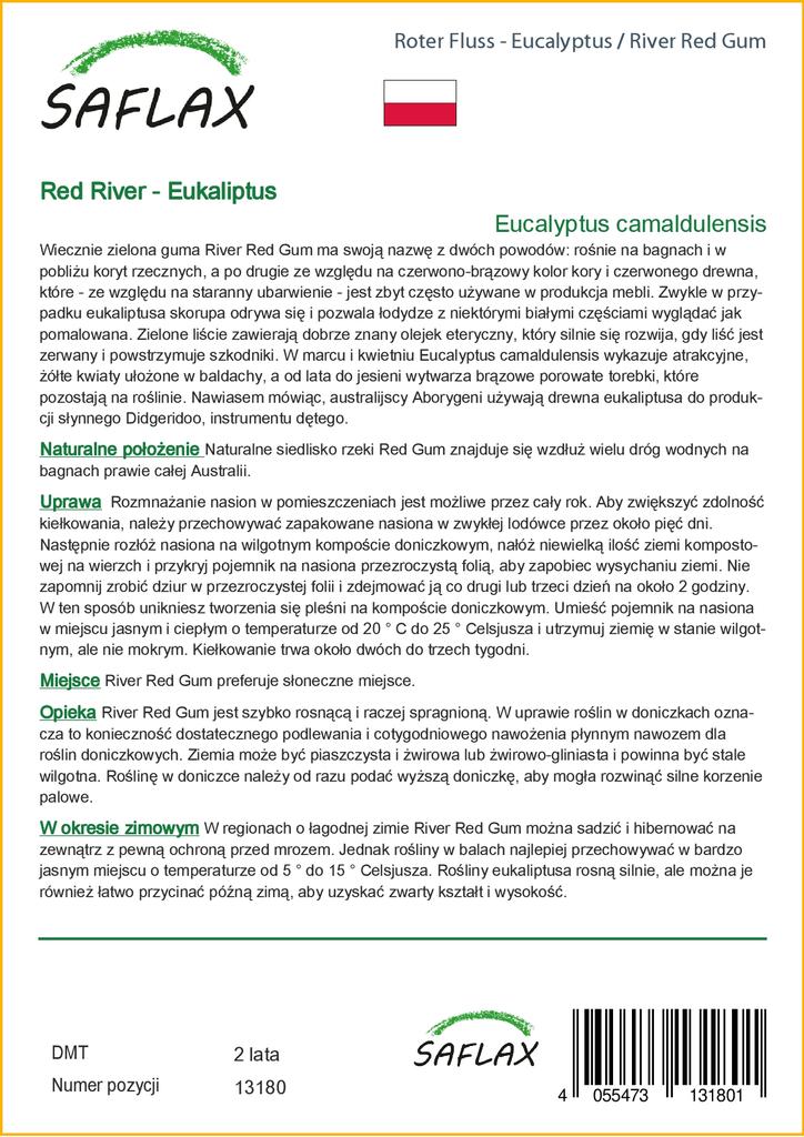 SAFLAX River Red Gum - 200 семян - Eucalyptus camaldulensis