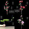 Sashimi Decoration Set: Bamboo Leaves, Edible Flowers & Plants for Salmon and Seafood Dishes