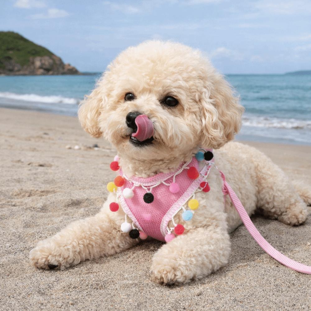 Adjustable Dog Harness Vest Colorful Ball Pet Walking Rope Durable Dog Chest Strap  Daily Use