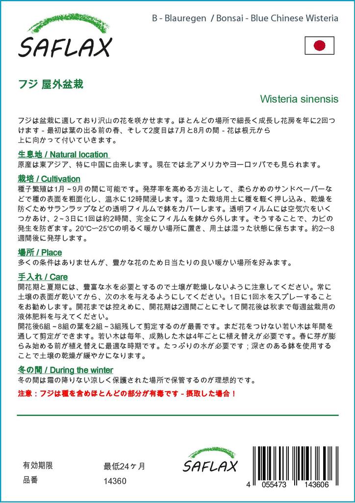 SAFLAX Garden in the Bag - Бонсай - Глициния китайская голубая - 4 семени - С субстратом в подходящем пакете - Wisteria sinensis