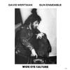 Виниловая пластинка DAVID WERTMAN , SUN ENSEMBLE - Wide Eye Culture BBE635ALP BBE 2022 UK Jazz