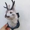 Милая статуэтка головы кролика с рогами Декор для дома Скульптуры Настенные фигурки Украшение Статуэтки животных Искусство и поделки для гостиной