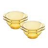 Набор мисок Pyrex Amber Glass с двумя ручками VISIONS