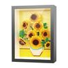 Idea Art Micro Diamond Block Home Furnishing Nanobrick Sunflower Starry Night Milky Way Galaxy 3D Photo Frame Toy Building Brick