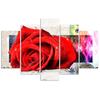 Feeby Five piece picture canvas print, Mottled rose