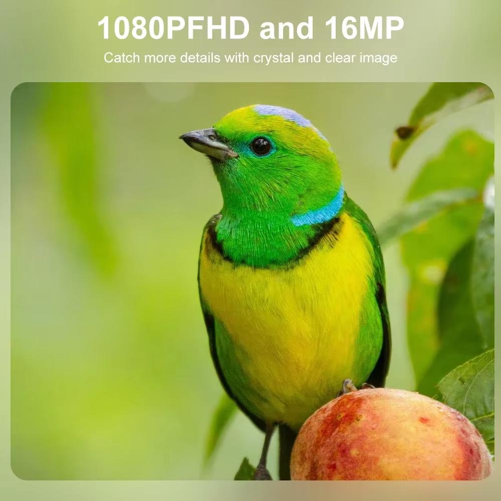 Mini HD 1080P Hunting Trail Camera Waterproof Hunting Camera Infrared Night Vision Security Cam Outdoor Wildlife Photo Traps