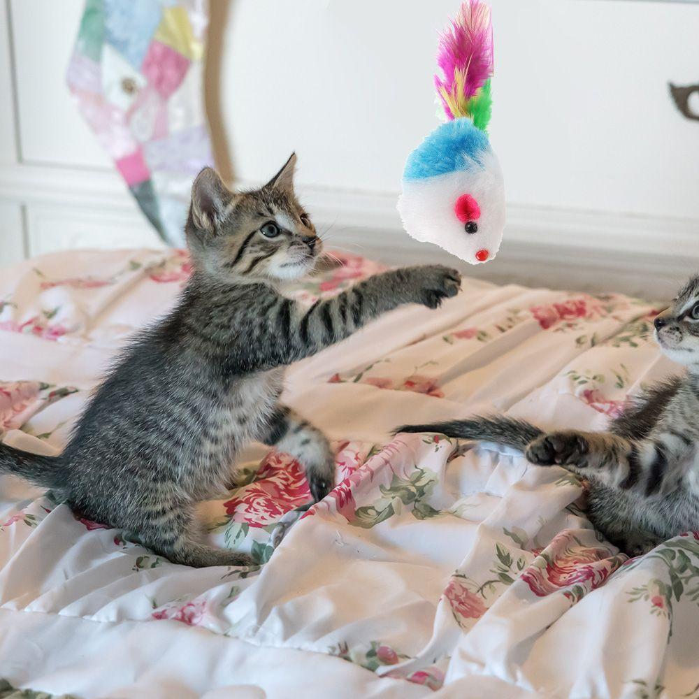 10 шт., разные цвета, кошачья мята, перо, хвост, мышь, набор погремушек, котята, интерактивная игрушка для кошек, игрушки для кошек и мышей