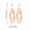 Exquisite Oval Hollow Long Tassel Dangle Earrings Gold Silver Exaggerated Ear Hook Light Luxury Ear Drop Ear Clip Women