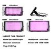 Purple Light LED Grow Lights Plant Lamp Floodlight USB 5V 50W 100W 150W LED Full Specturm Light Phytolamp For Plants Hydroponic