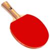 Настольная теннисная ракетка DHS