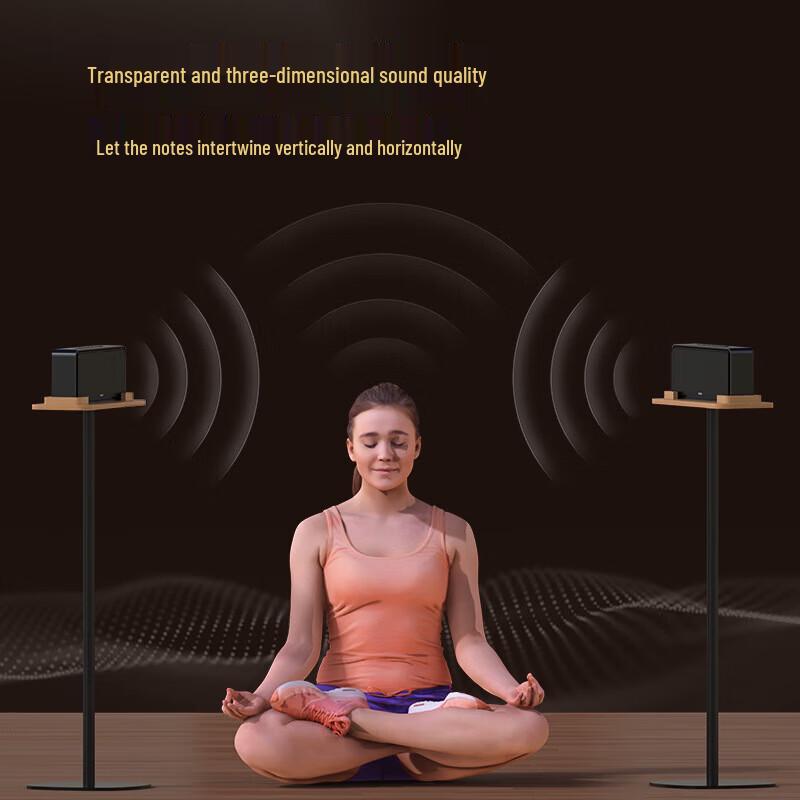 DOSS 1833 Панорамная звуковая HIFI настольная акустическая система (Китайская версия)