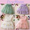 Summer Girl Flower Embroidered Mesh Dress With Bow For Toddler Girls