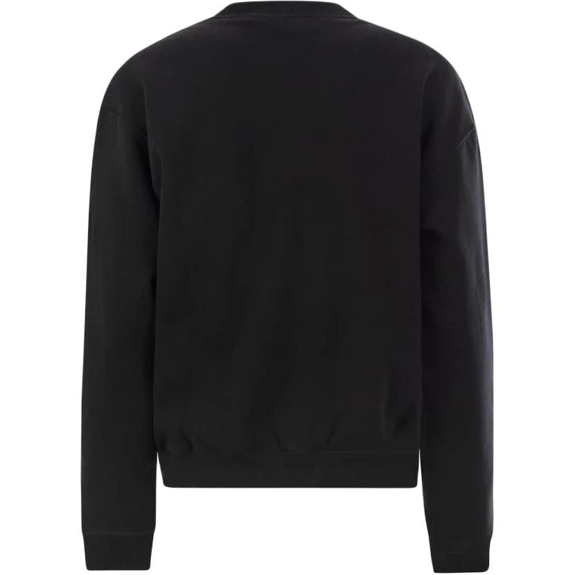 Polo Ralph Lauren Embroidered Pattern Crew Neck Long Sleeve Sweatshirt Women Sweatshirt 211943006-003