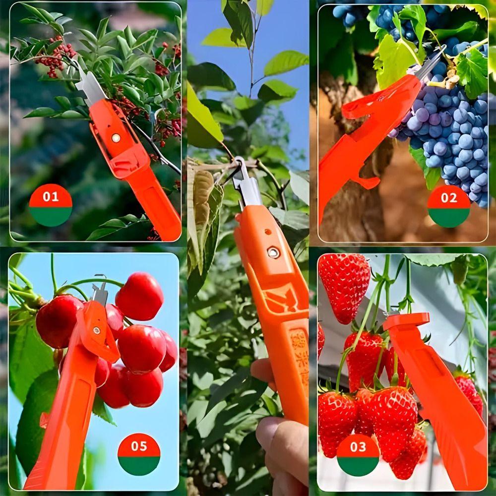 Picking Farm Picking Tool Portable Fruit Catcher Creative Handheld Fruit Picker for Farmers
