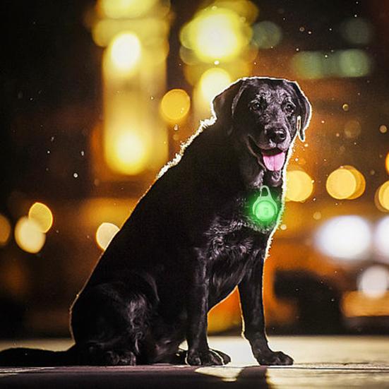 USB перезаряжаемый светильник для ошейника для собак, 4 режима, IPX8, водонепроницаемый, вращающийся на 360 градусов светильник для собак для ночных прогулок, альпинизма, кемпинга, езды на велосипеде, бега