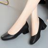 Single Shoes Women's Autumn New Versatile One-pedal Soft Sole Light Mouth Thick Heel Low Heel Work Shoes Black Small Leather Shoes