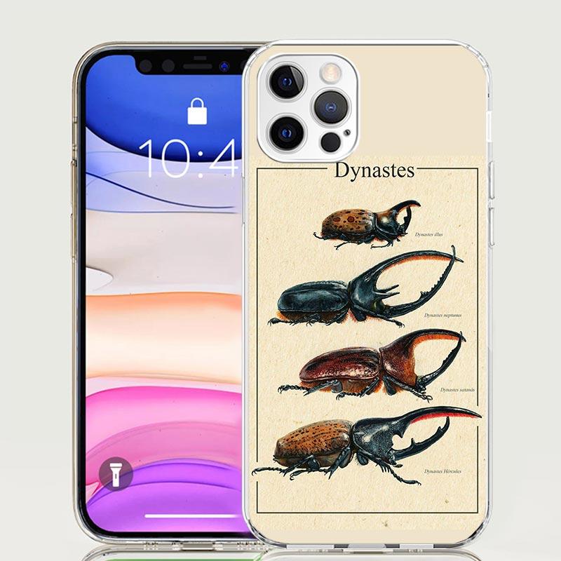 Bugs Bees Scientific Decomposition Phone Case for Apple iPhone 17 Air 16 15 Plus 14 + 13 Mini 12 11 Pro Max 7 8 SE 16Max Soft Sh