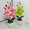 Орхидея Искусственные Орхидеи Цветы с Вазой Белое Растение Шелк Искусственные Орхидеи Искусственные Цветочные Композиции для Украшения Дома