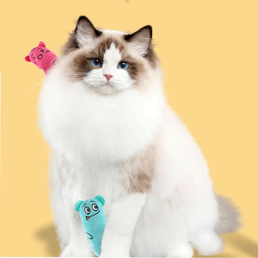 Мультяшное выражение Кошачья мята Прорезывание зубов Саморазвлечение Мультяшная плюшевая игрушка
