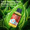 50ML Plant Nutrient Promote Sprouting Rapid Flowering Fast Potting Rooting Plant Nutrient Solution Supplement Garden Tool