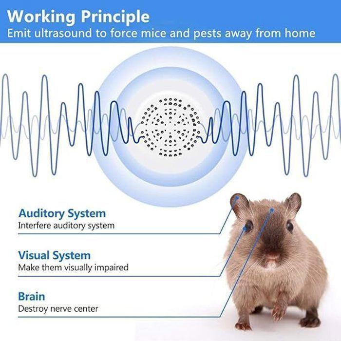 Set of 2 Ultrasonic Repellents, Anti-insects, Spiders, Plug-in for Indoor Mice, Anti-moths, Ants, Bed Bugs